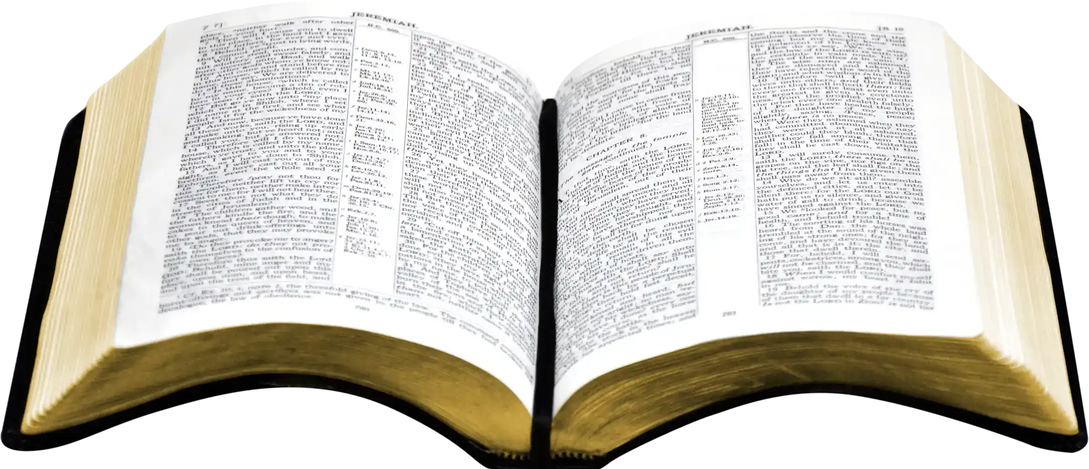 Biblesight